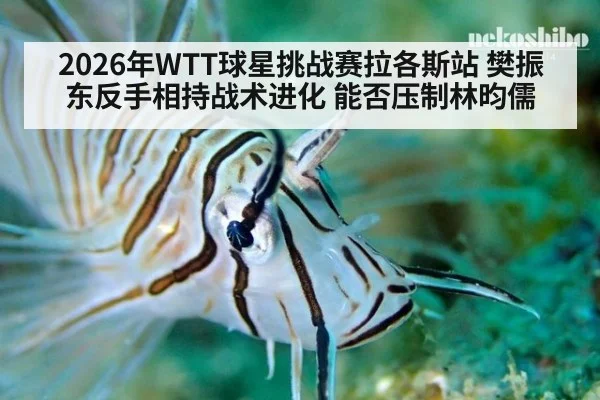2026年WTT球星挑战赛拉各斯站 樊振东反手相持战术进化 能否压制林昀儒